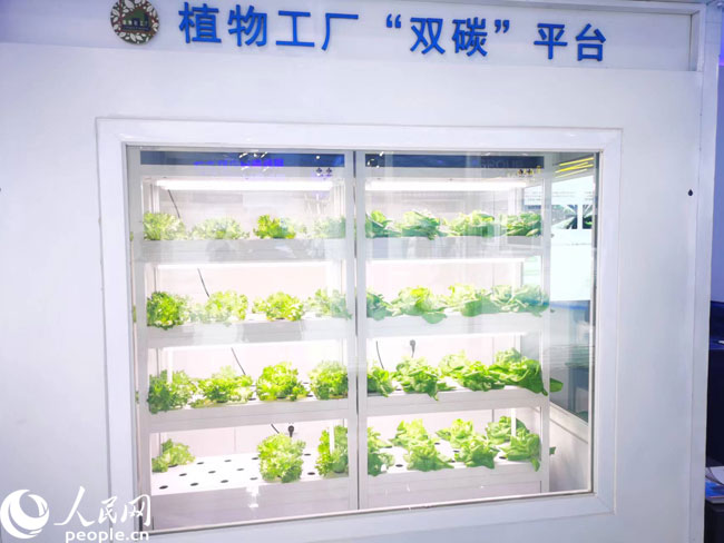 财经观察 激发创新源头活力，科技赋能数字内容，让生活更精彩