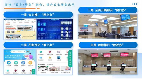 数字化监管与为企服务并重 哈尔滨市打造协同高效市场监管环境